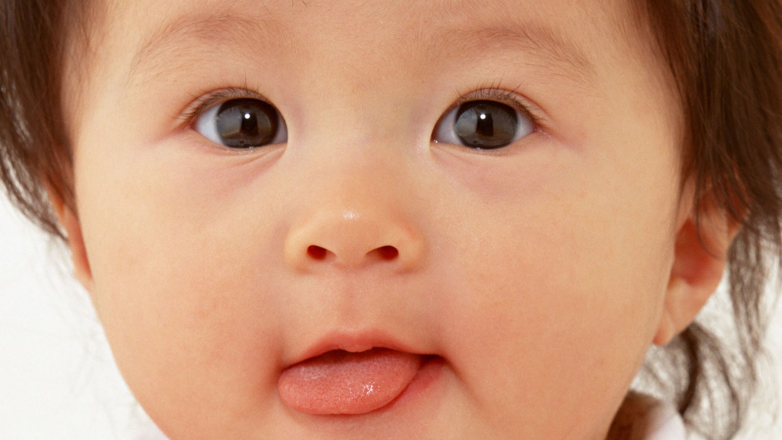 入驻百家号体验测评,做自媒体不如做网站 - 全民博客