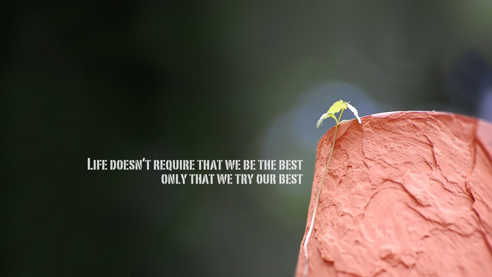 自媒体号容易被封,还不如自己做个网站呢