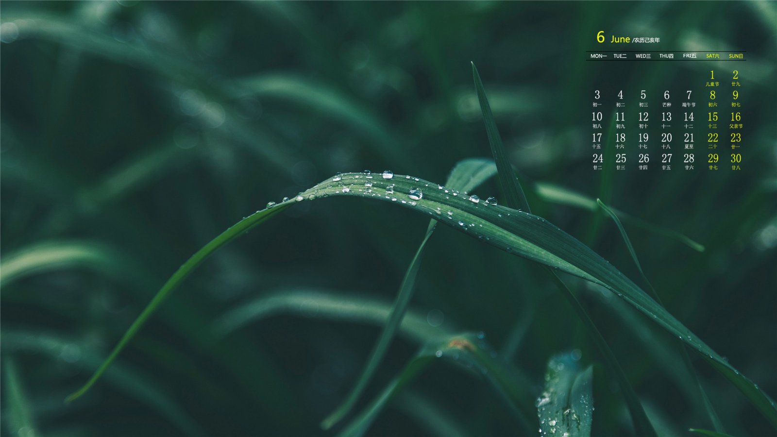 网站不收录怎么办?站长平台白皮书就是最佳答案