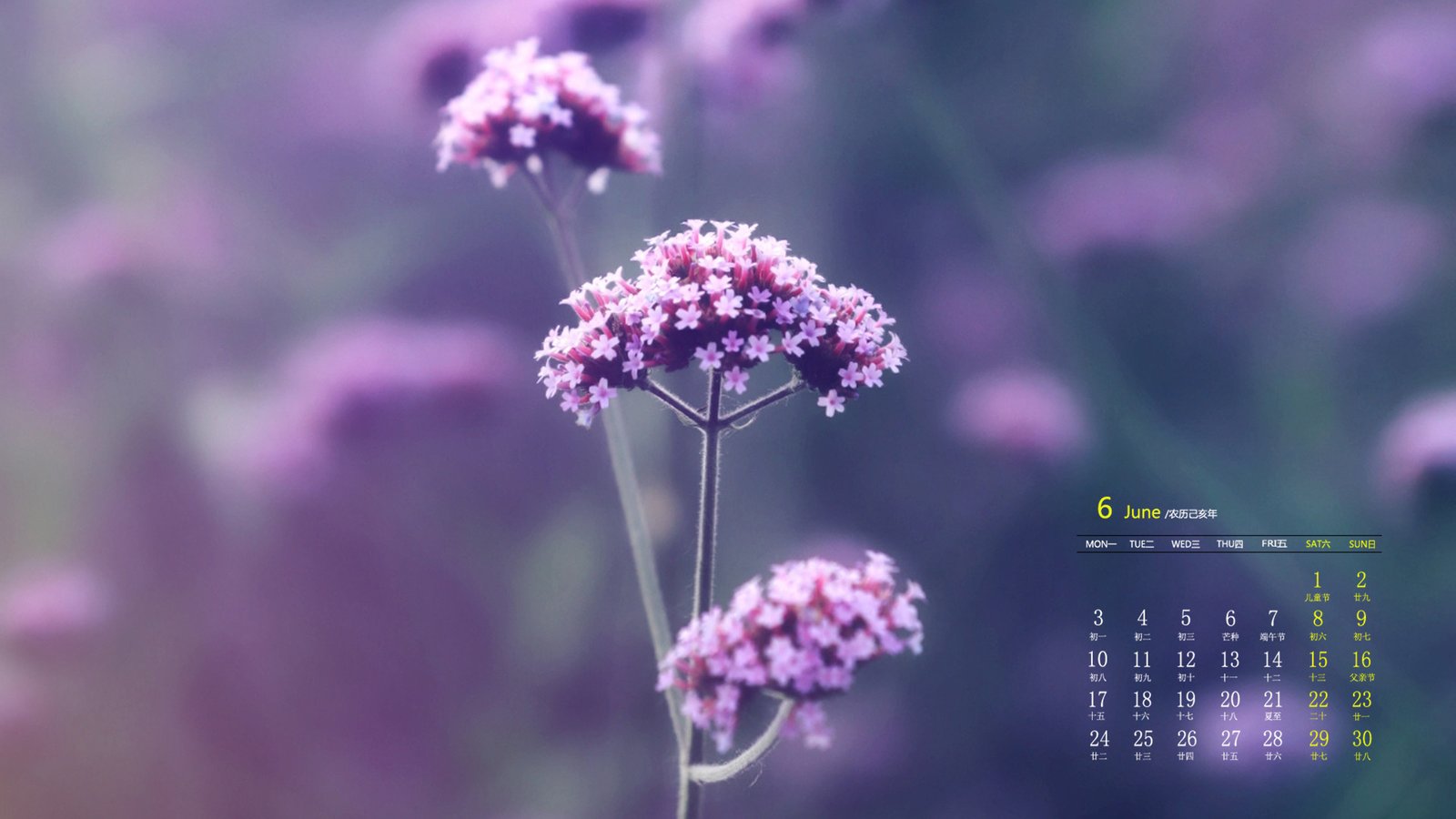 PbootCMS程序 - 免费网站开发,企业级网站内容管理系统