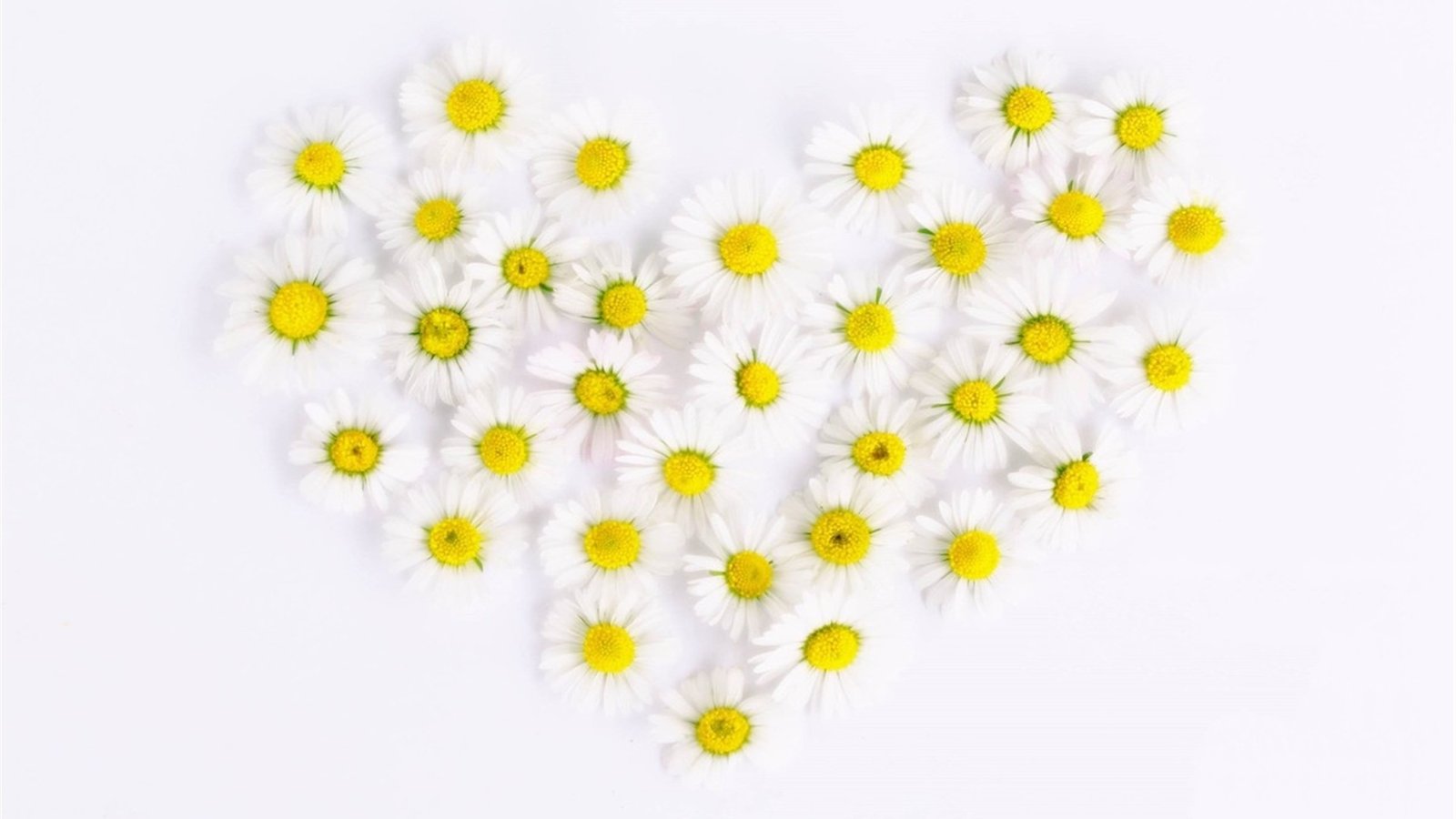 谷歌搜索收录百万,不做外贸也是没用的