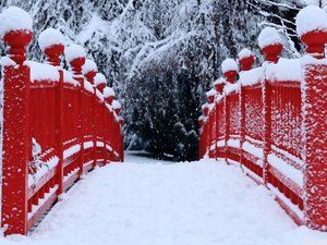 安卓风景大片 美景 唯美 心旷神怡手机壁纸