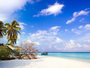 安卓风景 旅游 度假 海滨 沙滩 椰树 蓝天 白云手机壁纸