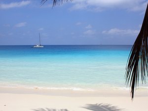 安卓风景 塞舌尔群岛 旅游胜地手机壁纸
