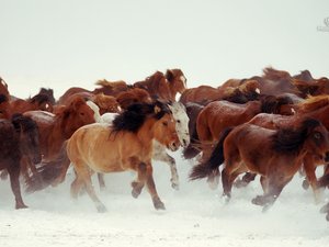 安卓风景 极影帮 摄影 SS手机壁纸