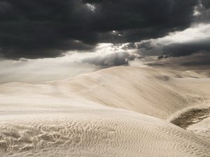 风景 沙漠