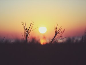 安卓风景 摄影 夕阳手机壁纸