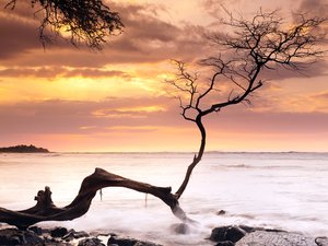 风景 黄昏 落日 大海