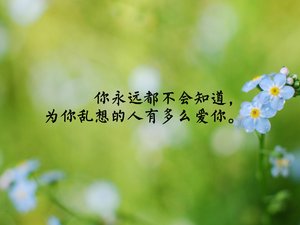 爱情 方案