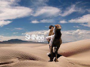 安卓男明星 日韩 组合 SHINee 手机壁纸
