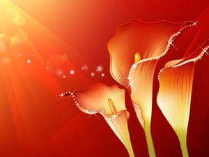 安卓Photoshop 设计 花朵 花纹 创意手机壁纸