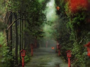 安卓超宽 全景 风景 春意盎然 mlgb手机壁纸