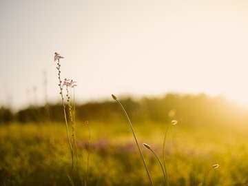 小清新 非主流 意境 摄影