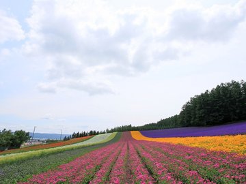 风景 自然风光 大自然 唯美 日本 北海道 日系 旅游胜地