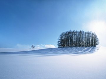 风景 自然风光 大自然 唯美 日本 北海道 日系 旅游胜地