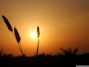 风景 自然风光 大自然 黄昏 夕阳 落日余晖