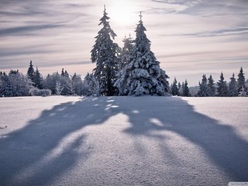 风景 自然风光 白雪 冬季