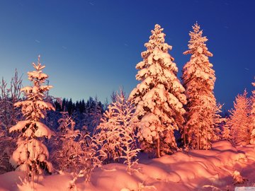 风景 夕阳 松鼠 落雪 冬天