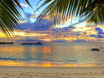 风景 度假 旅游胜地 椰树 海滩 海边 大海 晚霞 夕阳 落日