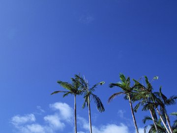 风景 大海 儿童桌面专用 蓝天白云