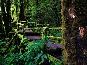 开阔 风景 阳光 大气 旅游 风光