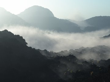 风景 山谷 雾