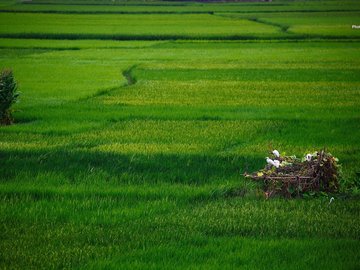 风景 极影帮 极影风景