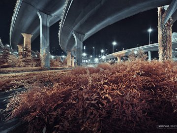 风景 子意 摄影 子意作品