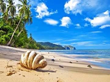 风景 大海 沙滩