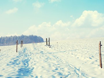 风景 冰天雪地