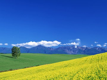 开阔 风景 阳光 大气 风光 碧绿草原