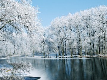 风景 雪景 河流 树林