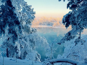 风景 雪景 树林 湖泊