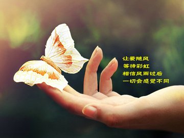 爱情美图 爱情箴言 让爱随风