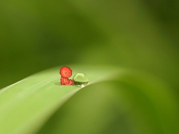 小清新 护眼壁纸