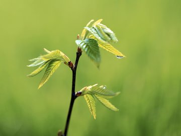 小清新 清爽 温馨 护眼壁纸