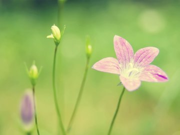 小清新 清爽 温馨 静物写真