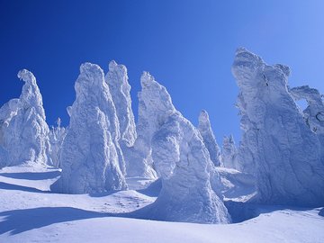 风景 银装素裹 冰天雪地