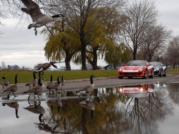 法拉利 Ferrari 汽车 跑车