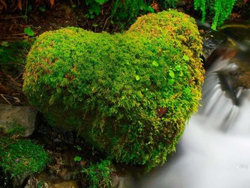 爱情 爱心 山清水秀 细水长流