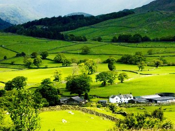 超宽 全景 风景 碧绿草原 mlgb