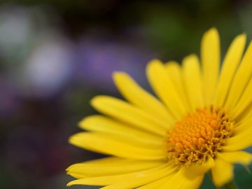 小清新 静物写真 静物 植物