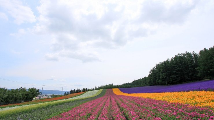 风景 自然风光 大自然 唯美 日本 北海道 日系 旅游胜地