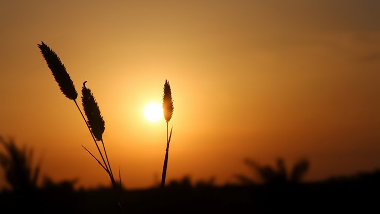 风景 自然风光 大自然 黄昏 夕阳 落日余晖