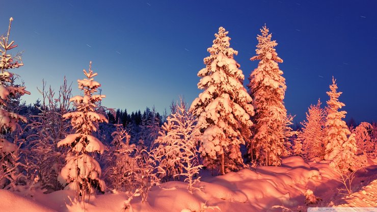 风景 夕阳 松鼠 落雪 冬天