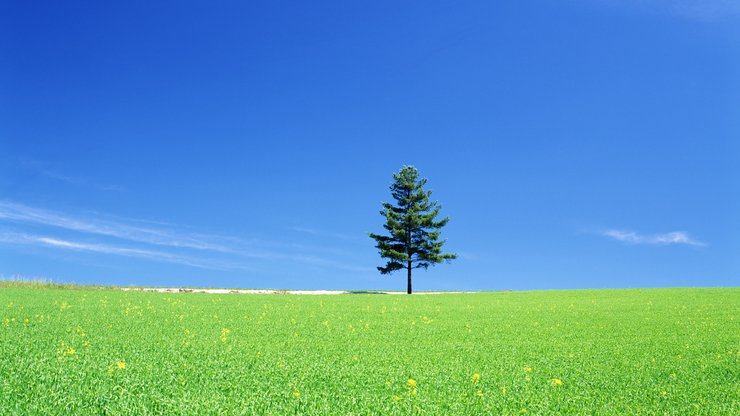 超宽 风景 日本 草地 蓝天 碧绿草原 蓝天白云 mlgb