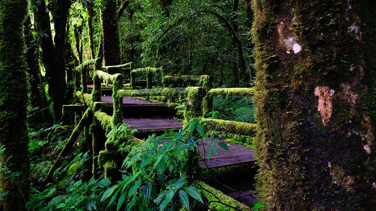 开阔 风景 阳光 大气 旅游 风光