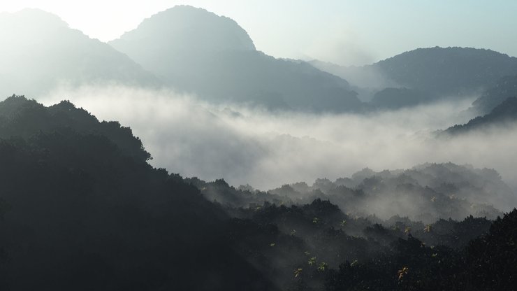 风景 山谷 雾