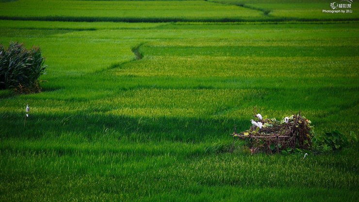 风景 极影帮 极影风景