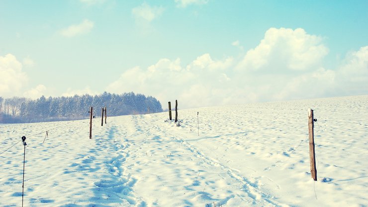 风景 冰天雪地